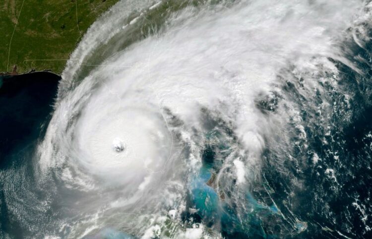 (Φωτ.: YouTube / WFLA News)