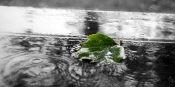 (Φωτ.: pixabay.com/PublicDomainPictures)