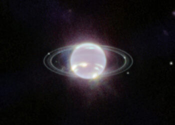 Ο Ποσειδώνας και οι δακτύλιοί του (πηγή: NASA / ESA / CSA / STScI)