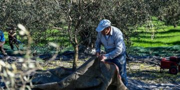 (Φωτ.: EUROKINISSI / Γιώργος Ευσταθίου)
