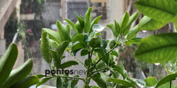 (Φωτ.: Χριστίνα Κωνσταντάκη)