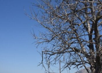 (Φωτ.: EUROKINISSI/Βασίλης Παπαδόπουλος)
