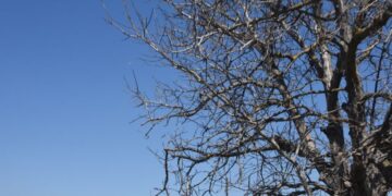 (Φωτ.: EUROKINISSI/Βασίλης Παπαδόπουλος)