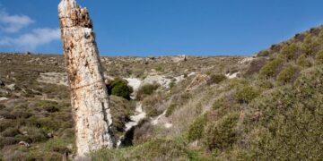 (Πηγή: lesvosgeopark.gr)