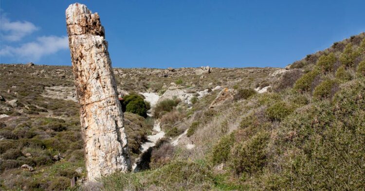 (Πηγή: lesvosgeopark.gr)