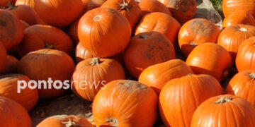 (Φωτ.: Χριστίνα Κωνσταντάκη)