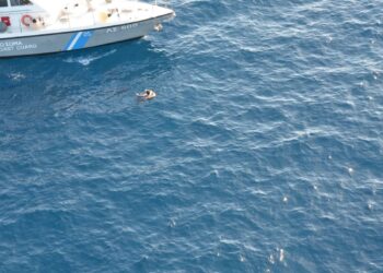Διάσωση μετανάστη μετά από ναυάγιο στο Στενό Καφηρέα στην Εύβοια (Πηγή φωτ.: hcg.gr)