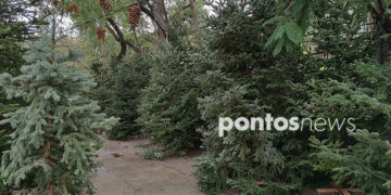(Φωτ. αρχείου: Χριστίνα Κωνσταντάκη)
