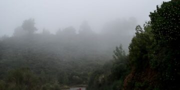 (Φωτ.: Μιχάλης Καραγιάννης / Eurokinissi)