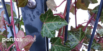 (Φωτ.: Χριστίνα Κωνσταντάκη)