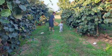 (Φωτ.: αρχείο Αναστασίας Καλαλίδου)