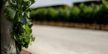 (Φωτ. αρχείου: Σωτήρης Δημητρόπουλος / Eurokinissi)