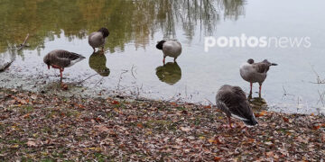 (Φωτ.: Χριστίνα Κωνσταντάκη)
