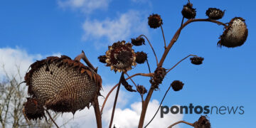 (Φωτ.: Χριστίνα Κωνσταντάκη)