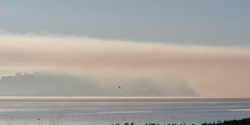 Πρωινή ομίχλη στο Ναύπλιο (φωτ.: ΑΠΕ-ΜΠΕ / Ευάγγελος Μπουγιώτης)