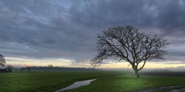 (Φωτ.: pixabay/Alfred_Grupstra)