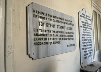 (Φωτ.: ΑΠΕ-ΜΠΕ/Αναστασία Καρυπίδου)