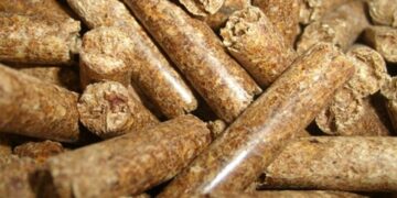 (Πηγή: el.wikipedia.org)