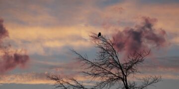 (Φωτ.: pixabay.com/NoName_13)