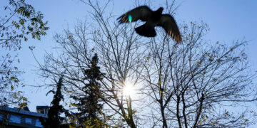 (Φωτ.: EUROKINISSI / Γιώργος Κονταρίνης)