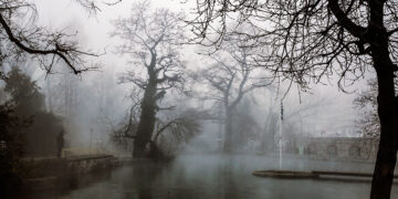 (Φωτ. αρχείου: 
EUROKINISSI / Δημήτρης Μεσσήνης)