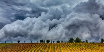 (Φωτ.: EUROKINISSI)