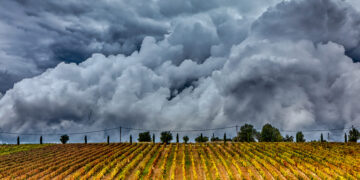 Σύννεφα πάνω από αμπελώνα στην Επανομή (φωτ.: MOTIONTEAM / Βασίλης Βερβερίδης)