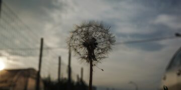 (Φωτ.: EUROKINISSI/Θανάσης Καλλιάρας)