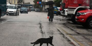 (Φωτ.: EUROKINISSI)