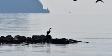 Στιγμιότυπο από την παραλία Καραθώνα στο Ναύπλιο (φωτ. αρχείου: ΑΠΕ-ΜΠΕ /Ευάγγελος Μπουγιώτης)