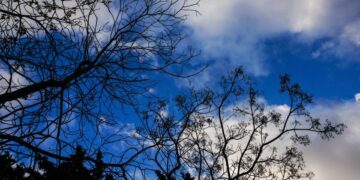 (Φωτ.: Γιώργος Κονταρίνης/ EUROKINISSI)