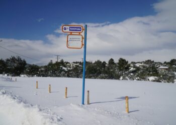 Εικόνα από τα Βίλια Αττικής, χθες το πρωί 
(φωτ.: Γιώργος Κονταρίνης/ EUROKINISSI)