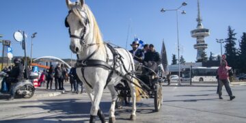 Περί τα 30 άλογα με άμαξες και τους ιππείς τους, οι οποίοι μετέχουν στο Σαλόνι Αλόγου, παρέλασαν στο κέντρο της Θεσσαλονίκης (φωτ.: ΜΟΤΙΟΝΤΕΑΜ/Βασίλης Βερβερίδης)