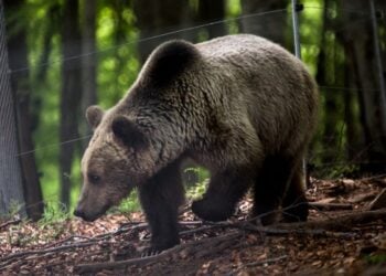 (Φωτ. αρχείου: EUROKINISSI / Κώστας Τσακαλίδης)