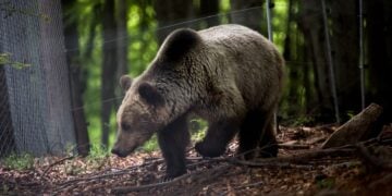 (Φωτ. αρχείου: EUROKINISSI / Κώστας Τσακαλίδης)