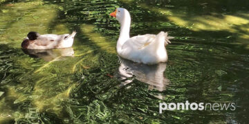 (Φωτ.: Χριστίνα Κωνσταντάκη)