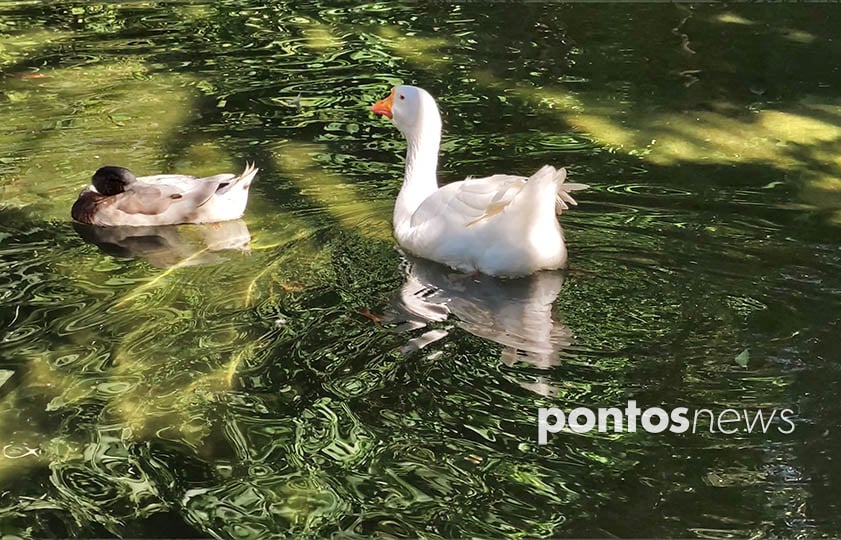 (Φωτ.: Χριστίνα Κωνσταντάκη)