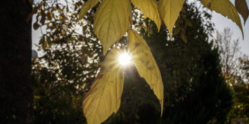 (Φωτ.: EUROKINISSI / Θανάσης Καλλιάρας)