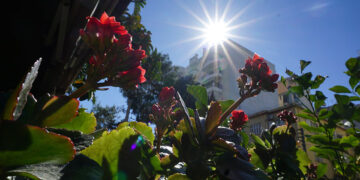 (Φωτ.: EUROKINISSI / Γιώργος Κονταρίνης)