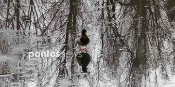 (Φωτ.: Χριστίνα Κωνσταντάκη)