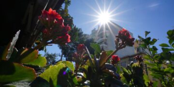 Η θερμοκρασία αναμένεται να φτάσει τους 16 με 19 και κατά τόπους στα ανατολικά ηπειρωτικά τους 20 με 21 βαθμούς Κελσίου (φωτ.: EUROKINISSI/Γιώργος Κονταρίνης)