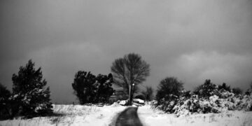 Πτώση θα καταγράψει η θερμοκρασία τις επόμενες μέρες (φωτ. αρχείου: EUROKINISSI/Μιχάλης Καραγιάννης)