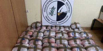 Ο 23χρονος είχε εισέλθει παράνομα στην Ελλάδα και μετέφερε πεζός δύο ταξιδιωτικούς σάκους που περιείχαν 50 συσκευασίες με ακατέργαστη κάνναβη (φωτ.: Ελληνική Αστυνομία)