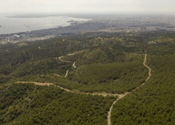 Στο μνημόνιο προβλέπεται να ενισχυθούν τα δασικά οικοσυστήματα απέναντι στα έντονα φυσικά φαινόμενα και τις καταστροφές (φωτ.: ΑΠΕ-ΜΠΕ/Δημητρης Τοσιδης)