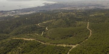 Στο μνημόνιο προβλέπεται να ενισχυθούν τα δασικά οικοσυστήματα απέναντι στα έντονα φυσικά φαινόμενα και τις καταστροφές (φωτ.: ΑΠΕ-ΜΠΕ/Δημητρης Τοσιδης)