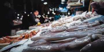 (Φωτ. αρχείου: EUROKINISSI/Κώστας Τζούμας)