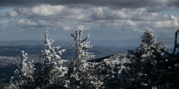Τα πρώτα χιόνια έχουν ήδη πέσει στην Πάρνηθα (φωτ.: EUROKINISSI/Μιχάλης Καραγιάννης)