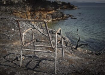 Το οικόπεδο στο Κόκκινο Λιμάνι όπου έχασαν τη ζωή τους 25 άνθρωποι (φωτ.: Eurokinissi/Θανάσης Δημόπουλος)