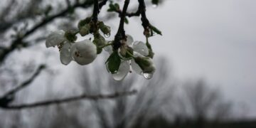 (Φωτ. αρχείου: EUROKINISSI/Θανάσης Καλλιάρας)