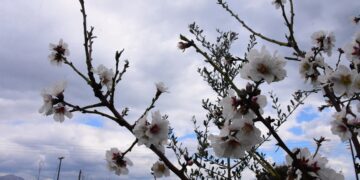 Οι αραιές νεφώσεις στο μεγαλύτερο μέρος της χώρας βαθμιαία θα πυκνώσουν και πιθανώς να σημειωθούν τοπικές βροχές γενικά μικρής έντασης (φωτ.: EUROKINISSI/Βασίλης Παπαδόπουλος)